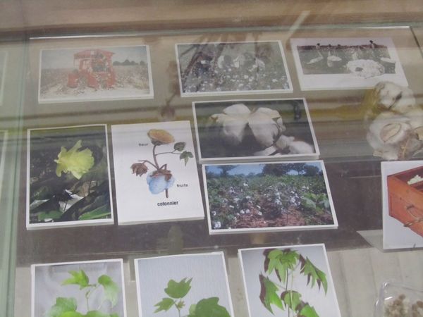 Image 2 - SORTIE D'AUTOMNE DES EDELWEISS [16/10/2014]